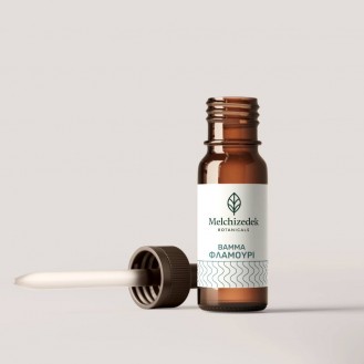 Βάμμα Φλαμουριού – Ρευματισμοί & Αρθριτικά Βάμμα Φλαμουριού – Ρευματισμοί & Αρθριτικά